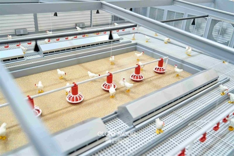 poultry farm presentation model poultry farm presentation model
